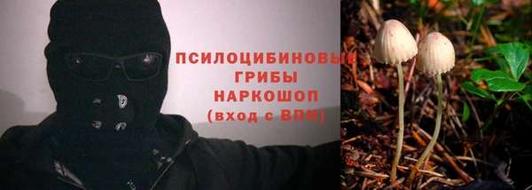 гидропоника Покачи